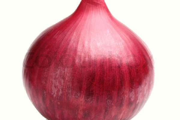 Kraken tor onion