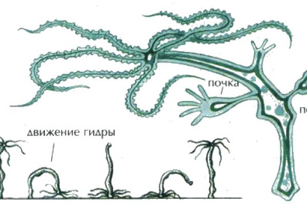 Кракен вместо гидры